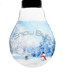 Snow Bulb