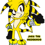 Adoptable::Jake the Hedgehog (CLOSED)