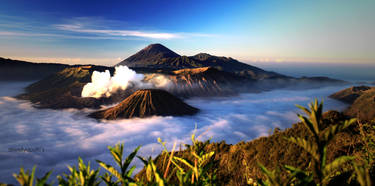 Bromo and Friends