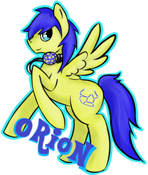 orion digital pony badge