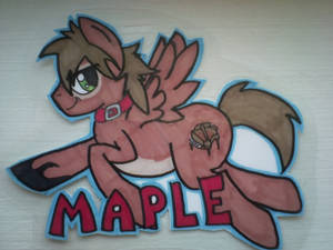 ac badge maple