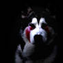 Demonic-Husky