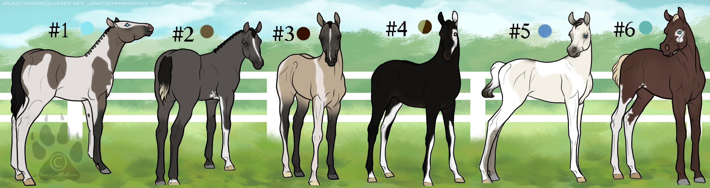 Foal Draw-To-Adopt Auction- WINNERS