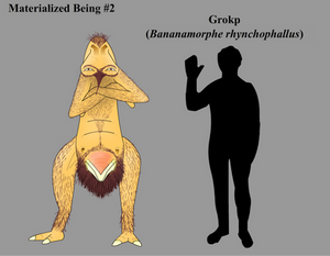 Materialized Being #2: Grokp