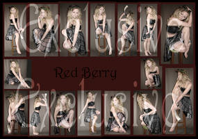 Exclusives Red Berry Fairy