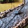 Undead drowned with a pitchfork, Age of Sigmar