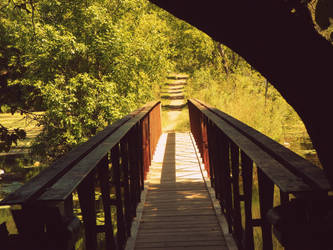 Bridge Over Calm Waters