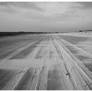 the beach