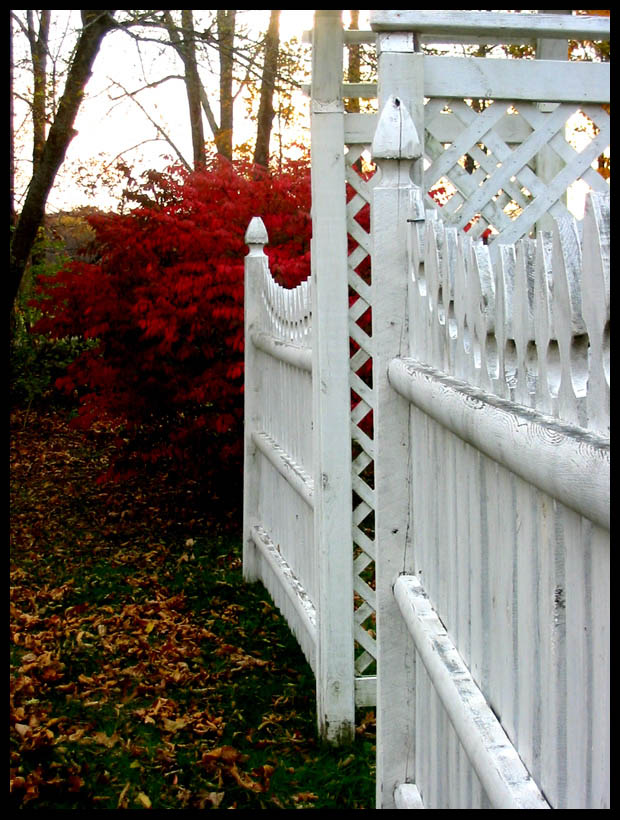 Fall Fences