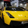 Yellow Gallardo