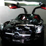 Dramatic Black Gullwing