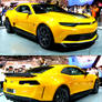 The All New Bumblebee