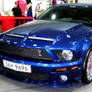 Glory of Shelby Mustang