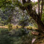 Semuc Champey