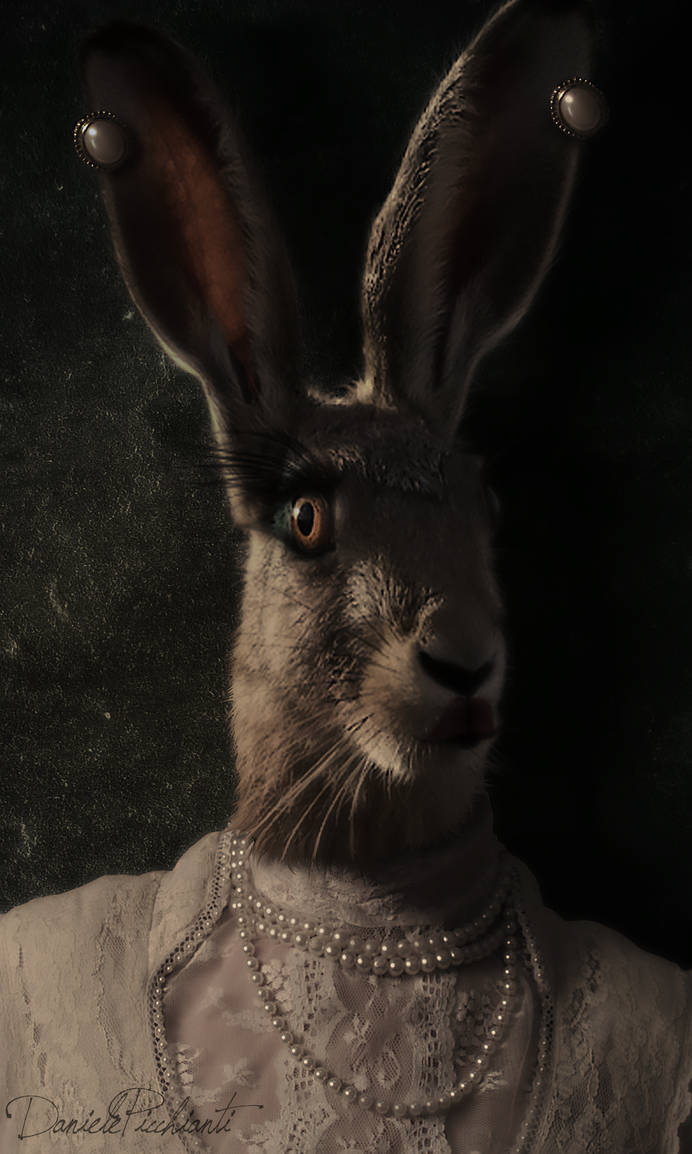 MissRabbit by danielepicchianti on DeviantArt