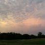 View of the sky from my neighborhood park