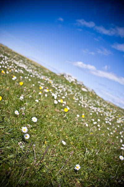 North Uist I