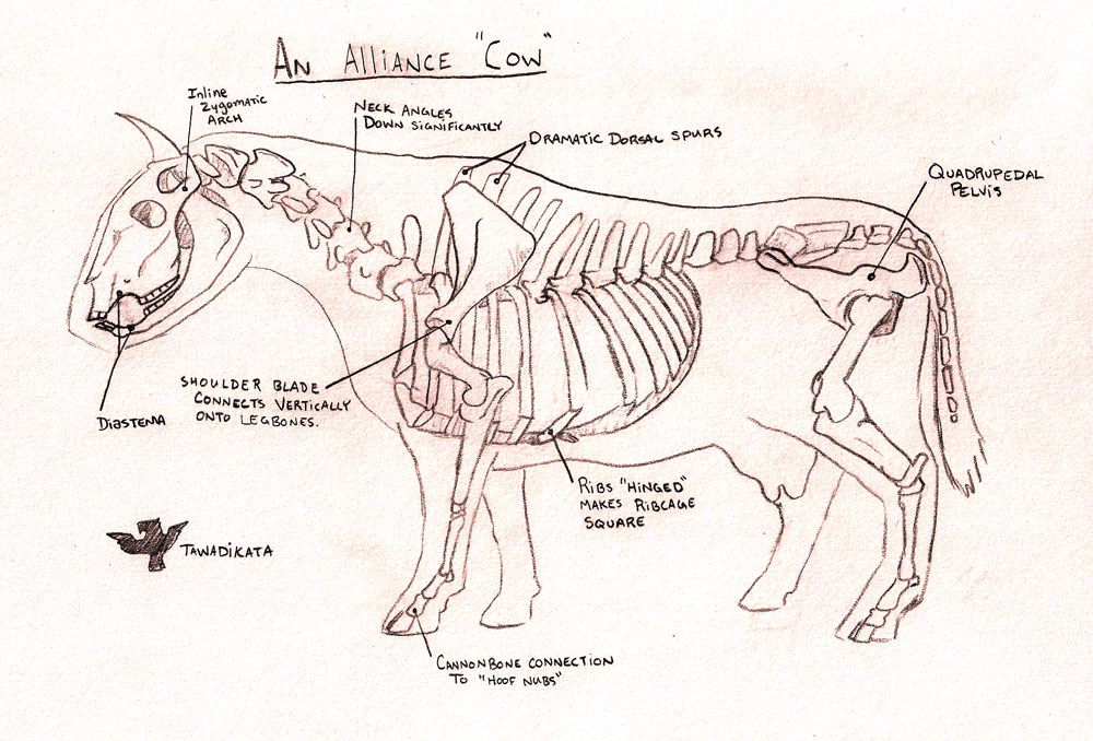 Cow Skeleton