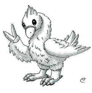 Chocobo Sketch