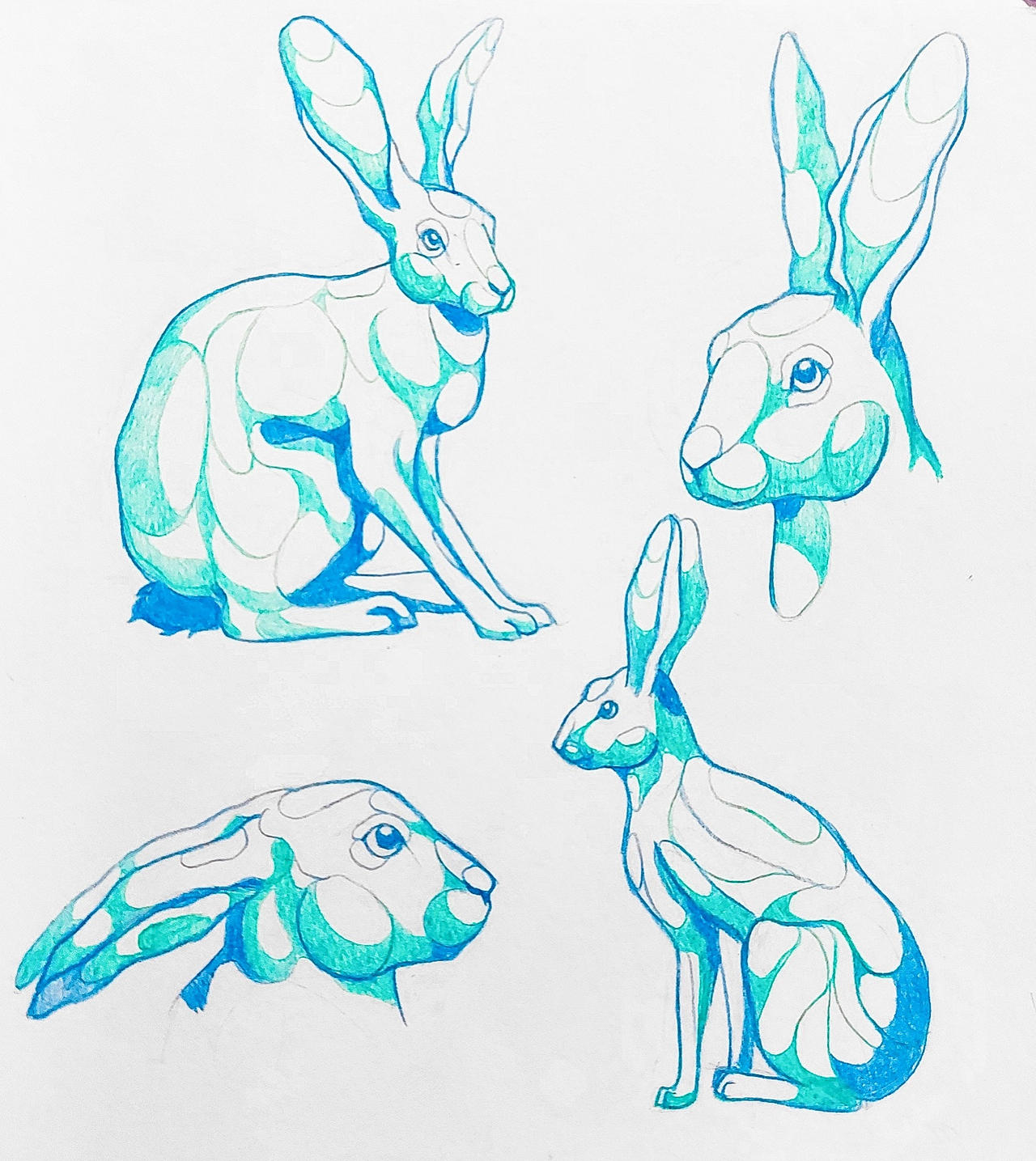 3. Sketch Rabbit Some rabbit sketches by AzureElegy on DeviantArt