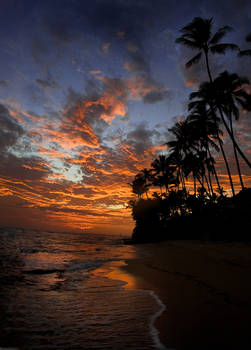 Hawaii sunset