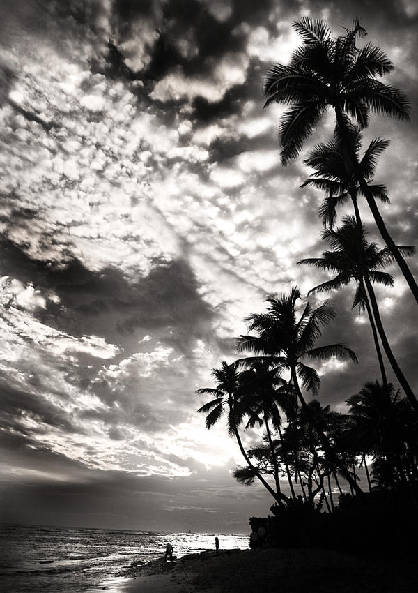 Hawaii sunset  Black and White
