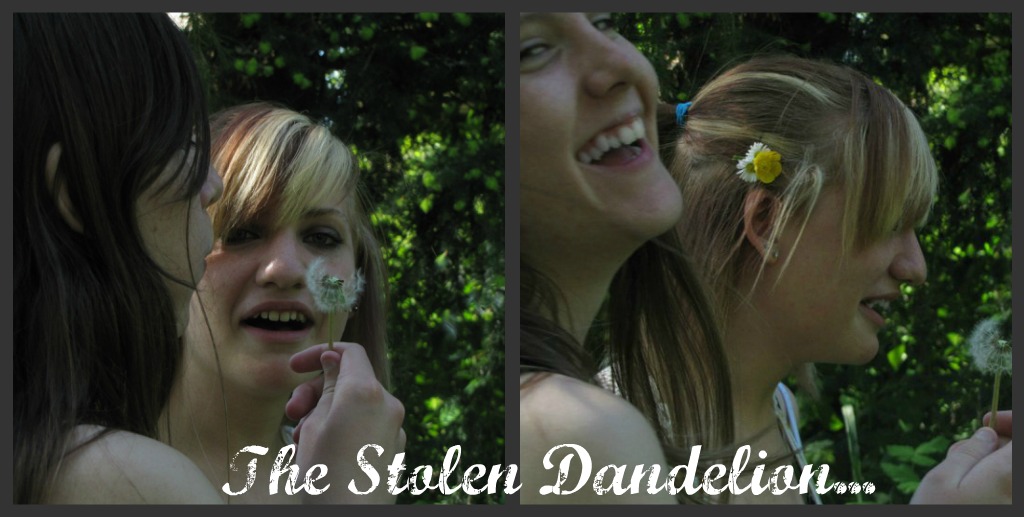 The Stolen Dandelion