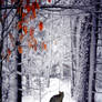 Chrismas Greeting Card
