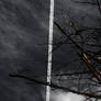 Crow and Contrails 1