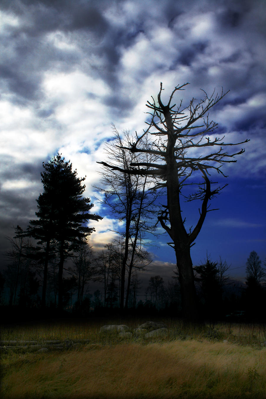 Sunfall Red Sunfall by BobVPR on DeviantArt