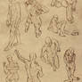 Hard perspective anatomy references for males