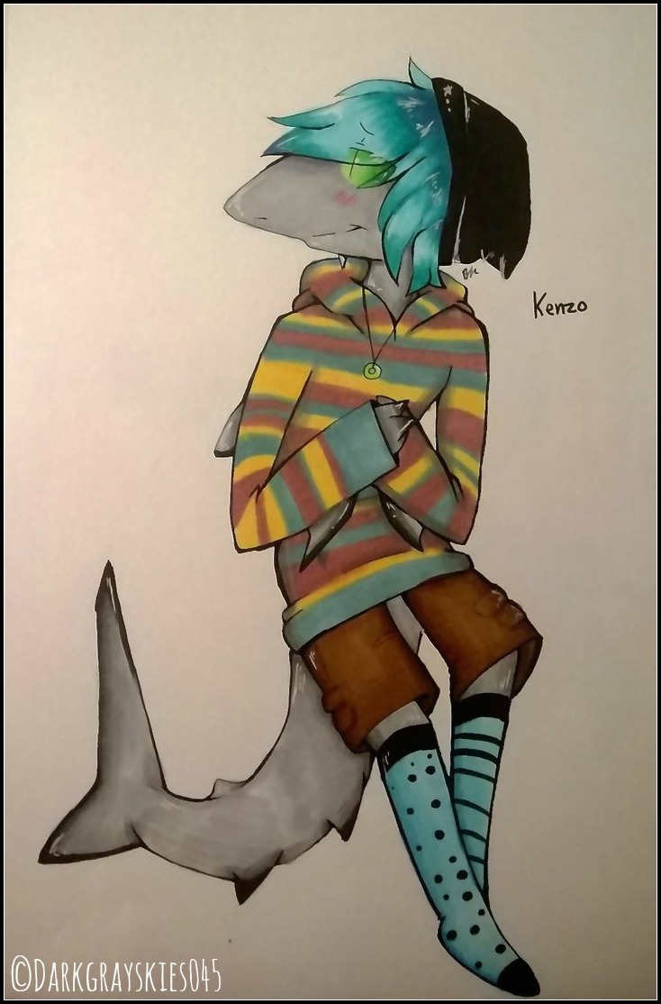 Kenzo the Galapagos shark