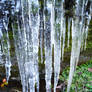 Icicles 1