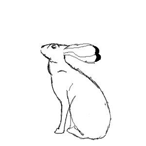 Hare