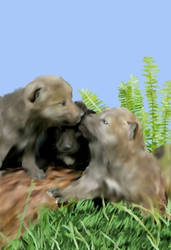 wolf cubs II