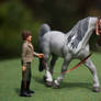 Schleich horse Cust Repainted