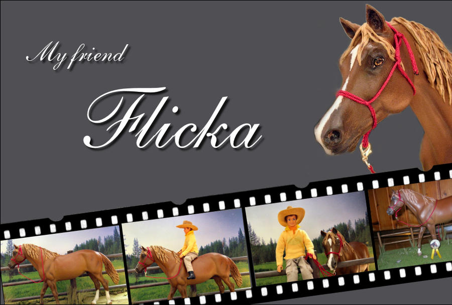 My friend Flicka