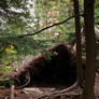 root roof