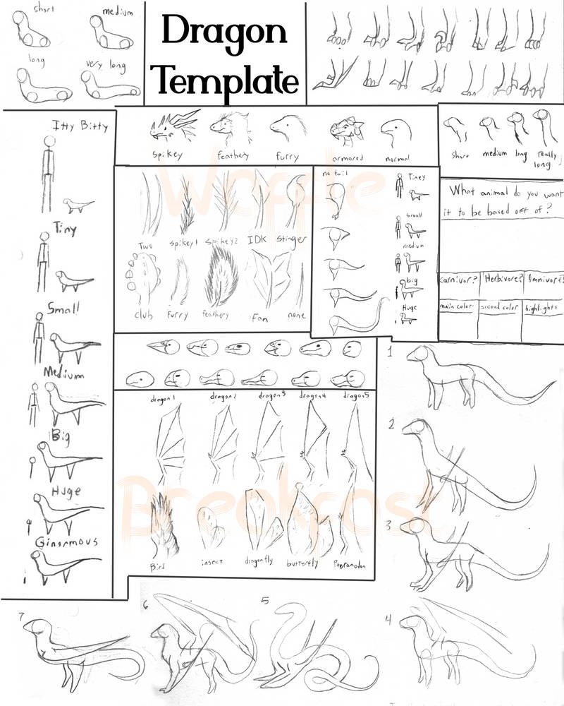 Dragon Template by EggnWaffle on DeviantArt