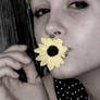 Yellow Flower 2