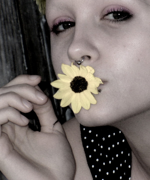 Yellow Flower 2