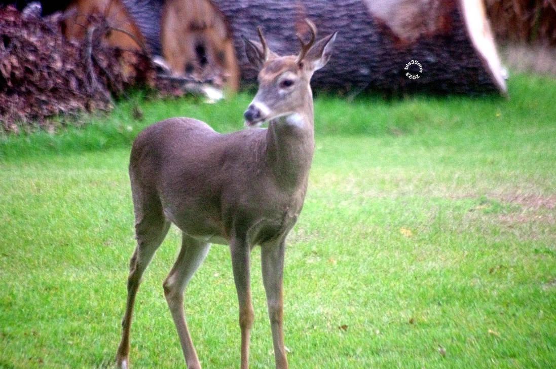 VOGUE STRIKE THE POSE MADONNA by OldieButGoodie on DeviantArt