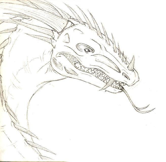 Generic Dragon 002 by wavemaster on DeviantArt