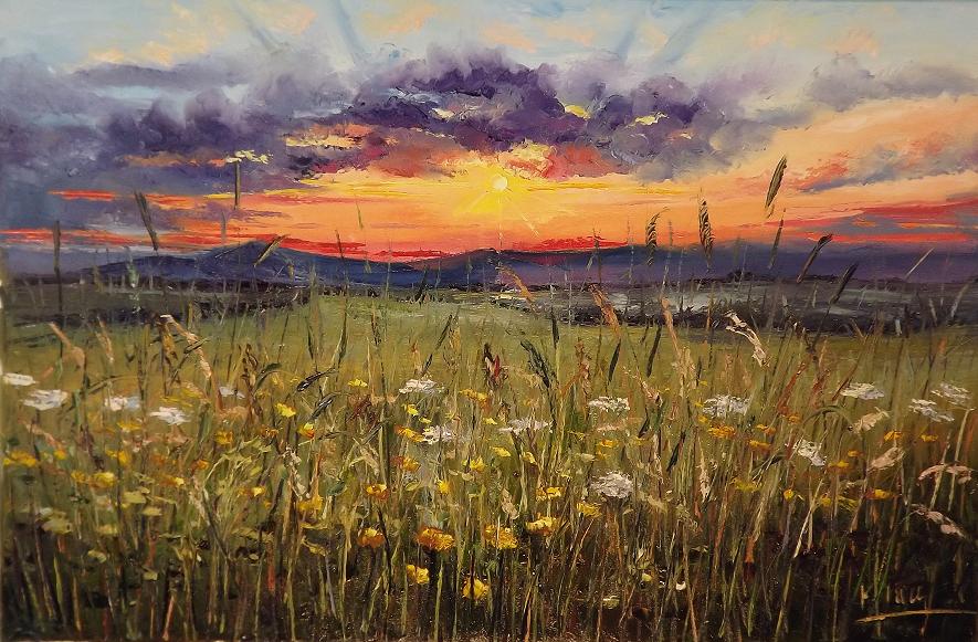 Sunset's Meadow