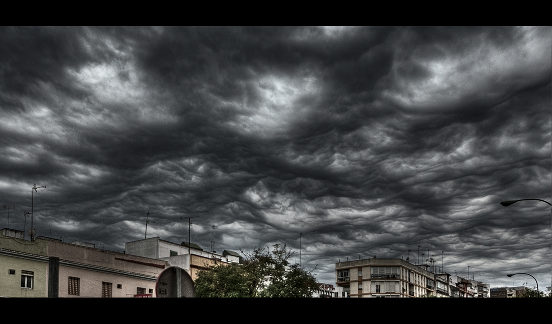 Asperatus 1