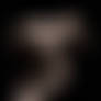sneak