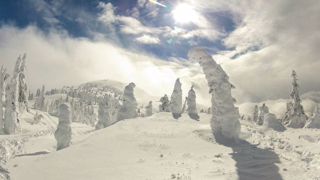 Snow ghosts at Gem Lake