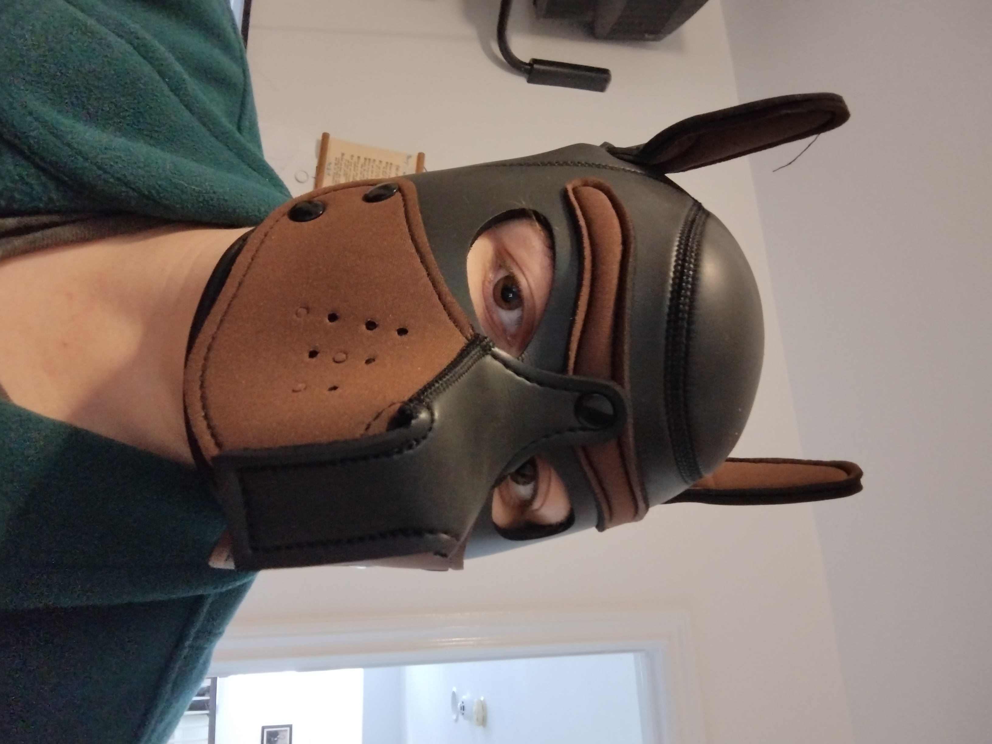 Leather Furry Mask by PlagueWerewolf on DeviantArt