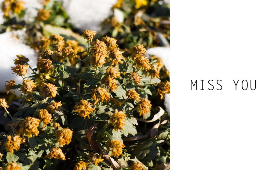 Miss You 2 By Llsxsm On DeviantArt miss-you-2-by-llsxsm-on-deviantart