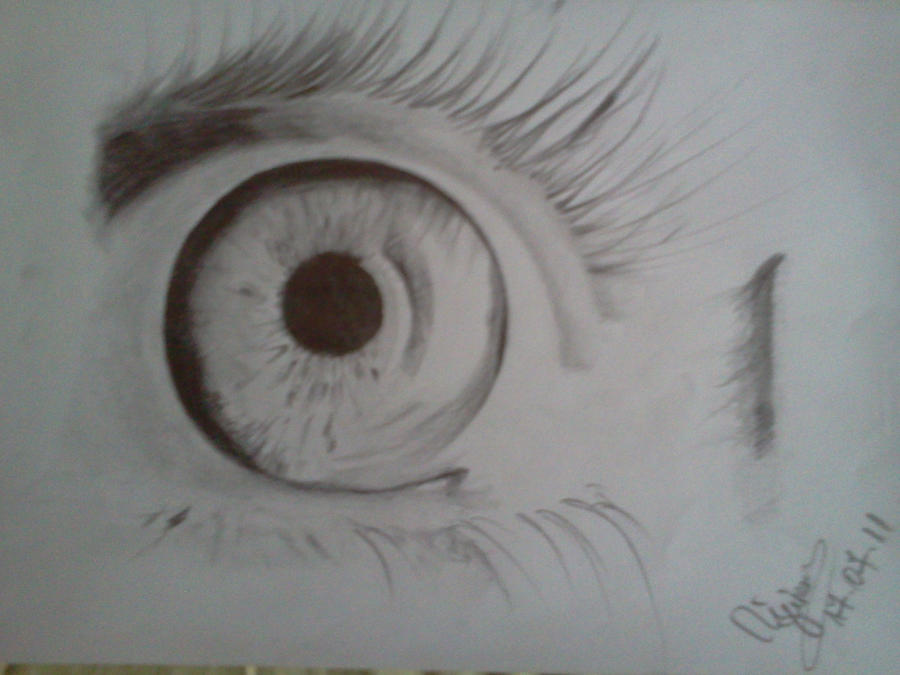 eye